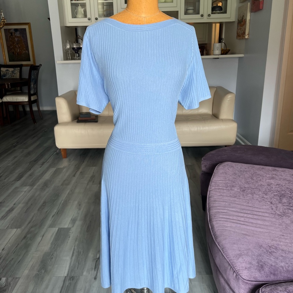 NWT Ann Taylor periwinkle skater dress